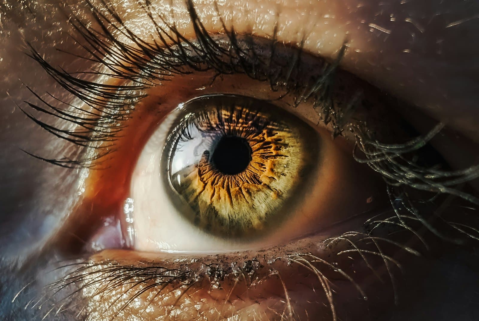 Eyelash Extensions at Saylor Beauty Spa